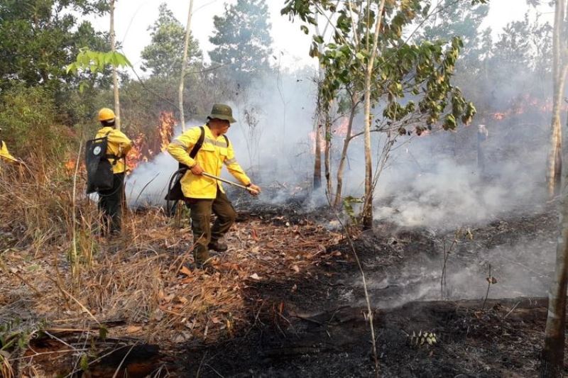 Data BMKG: Ada 57 Titik Panas Berpotensi Karhutla Di Kaltim | Timur.co.id