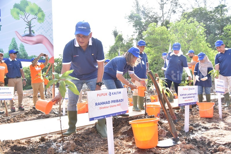 Libatkan Karyawan Dukung Community Forest, Pupuk Kaltim Target Tanam 12 ...